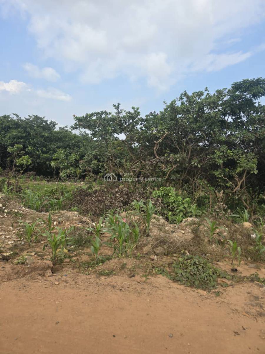 1,200sqm C of O Residential Land, Guzape District, Abuja, Residential Land for Sale