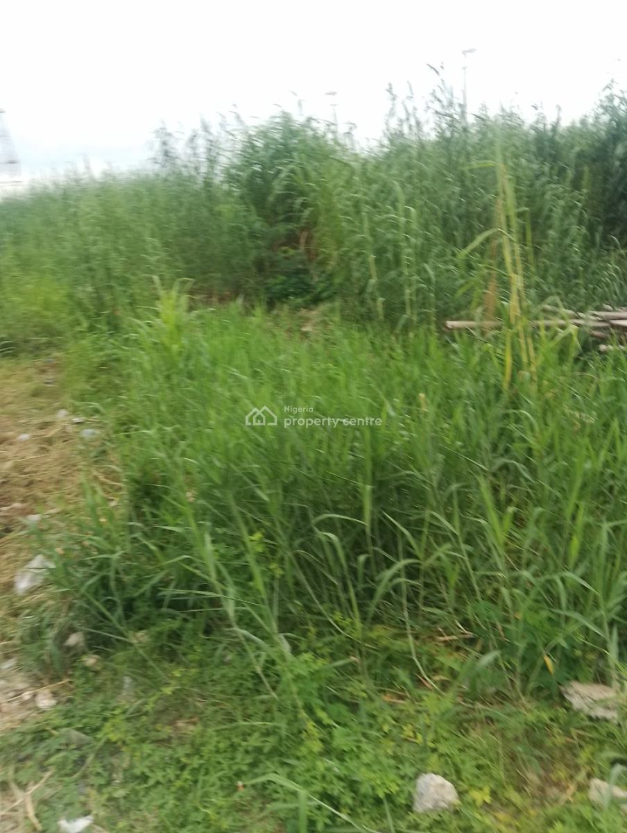 350sqms of Bareland, Residential Area of Banana Island, Ikoyi, Lagos, Residential Land for Sale