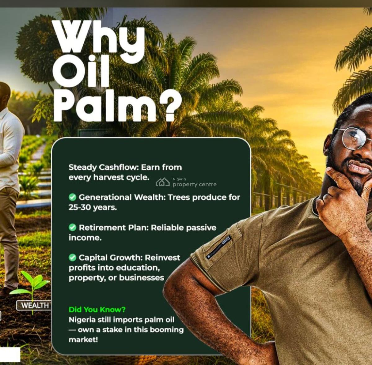 Profitable Palm Oil Farming with Freehold and Registered Survey, Harvest Groove Palm Oil  Located in Ayepe, Ado-odo/ota, Ogun, Mixed-use Land Joint Venture