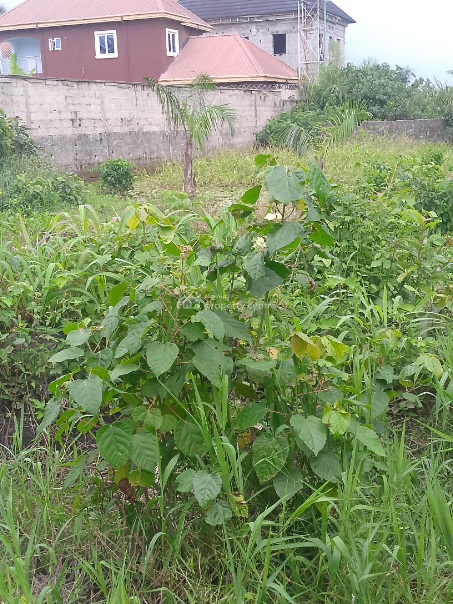 Big Plot of Land Fenced and Gated with Gazette, Lekki Nature Garden Estate, Abijo, Lekki, Lagos, Residential Land for Sale