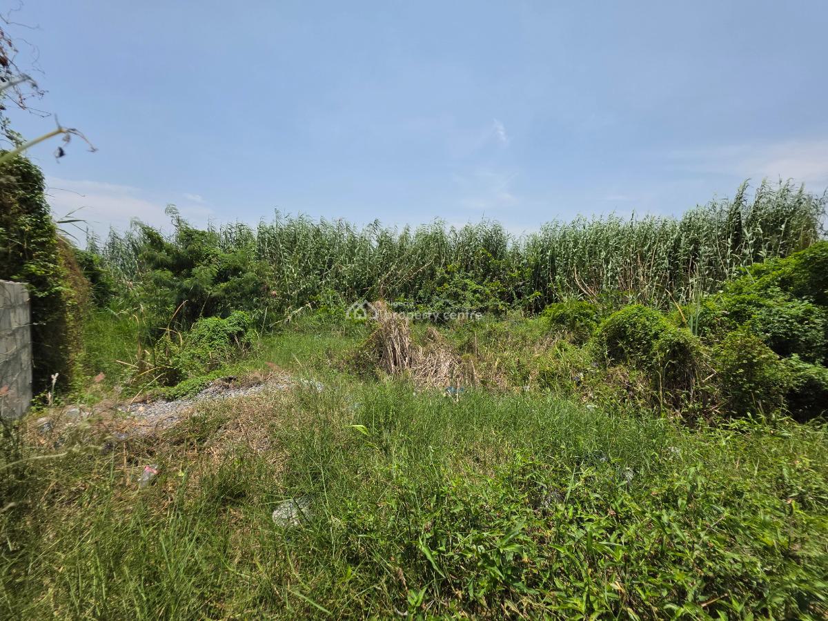Prime 1,600sqm Fully Fenced Land, Lekki Palm City, Ajah, Lagos, Residential Land for Sale