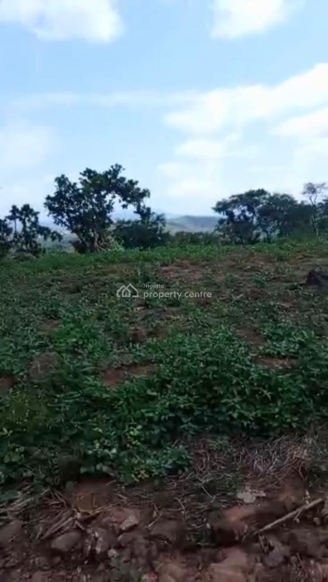 Massive Land Available, Asokoro District, Abuja, Mixed-use Land for Sale
