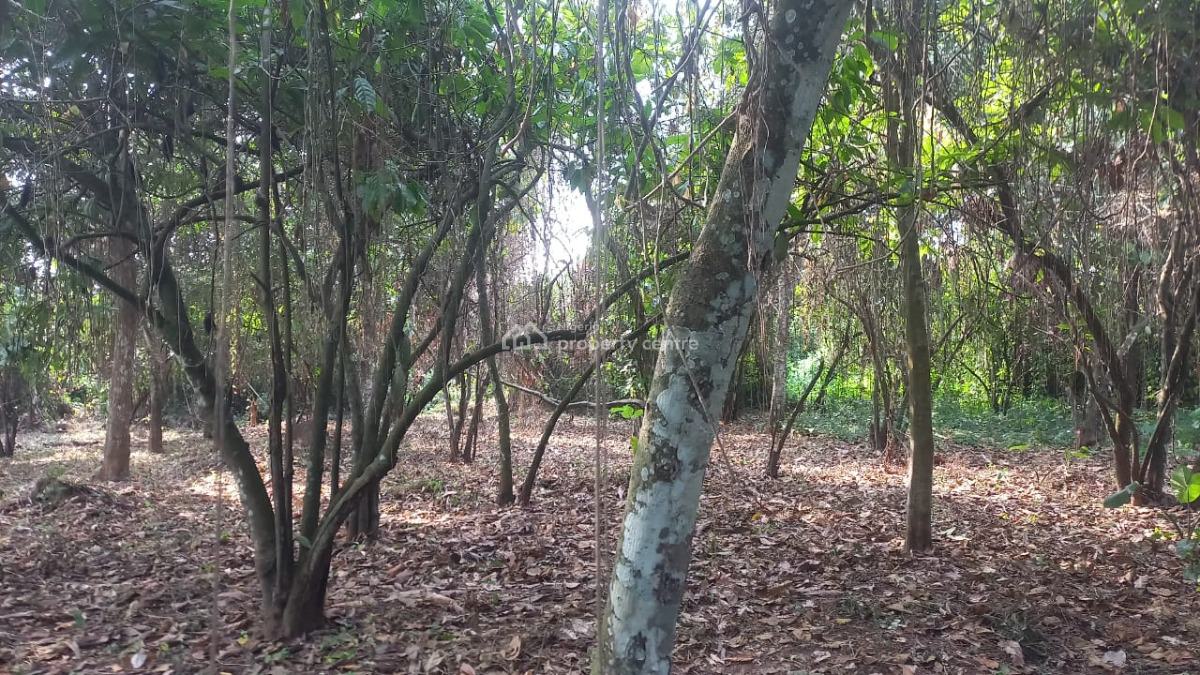 Acers of Coco Farm on Strategic Area, Owode, Ado-odo/ota, Ogun, Industrial Land for Sale