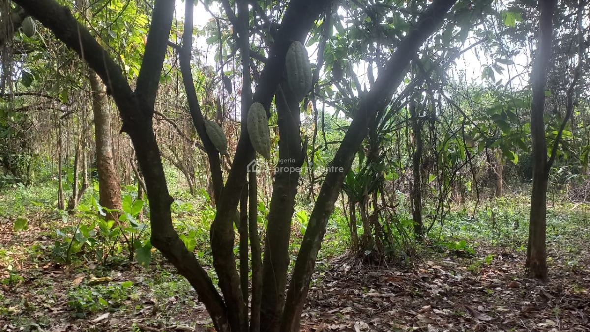 Acers of Coco Farm on Strategic Area, Owode, Ado-odo/ota, Ogun, Industrial Land for Sale