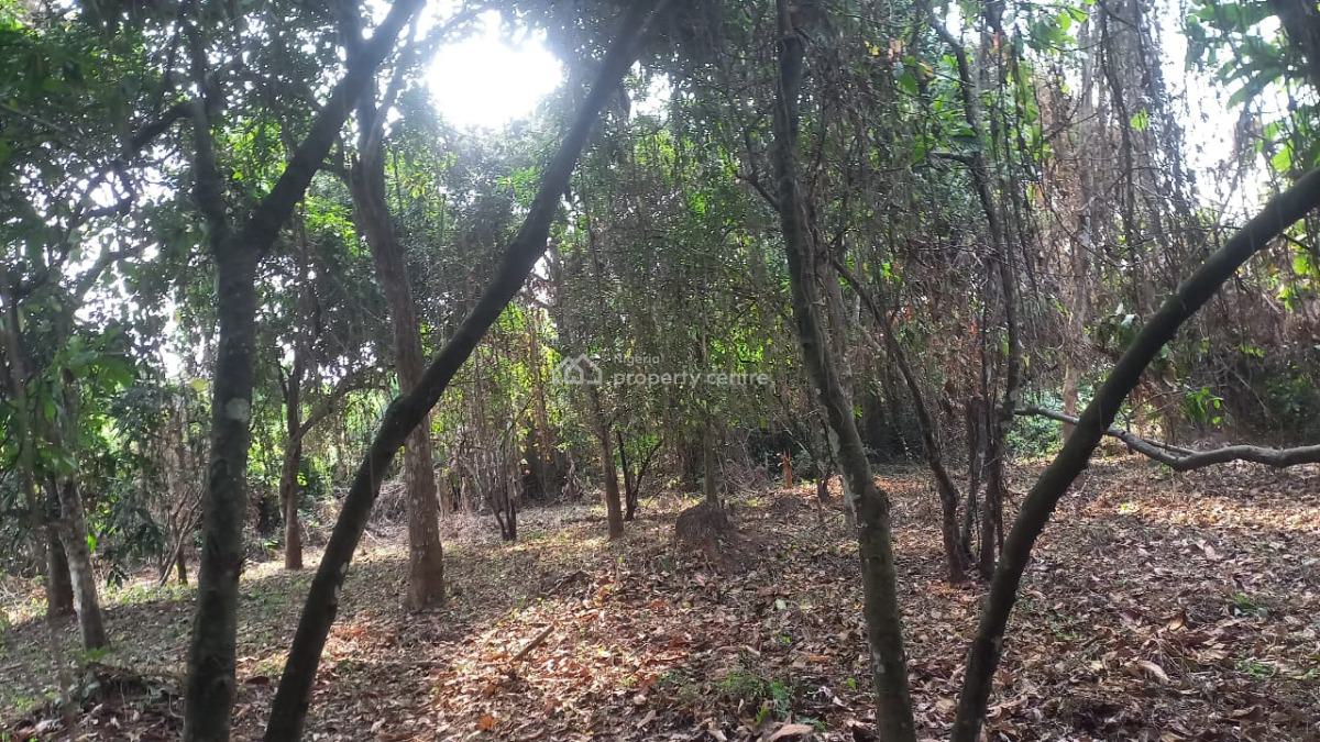 Acers of Coco Farm on Strategic Area, Owode, Ado-odo/ota, Ogun, Industrial Land for Sale