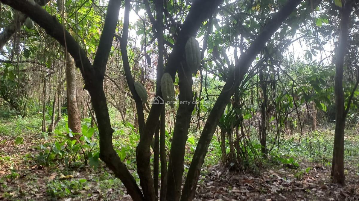 Acers of Coco Farm on Strategic Area, Owode, Ado-odo/ota, Ogun, Industrial Land for Sale