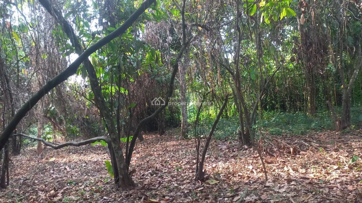 Acers of Coco Farm on Strategic Area, Owode, Ado-odo/ota, Ogun, Industrial Land for Sale