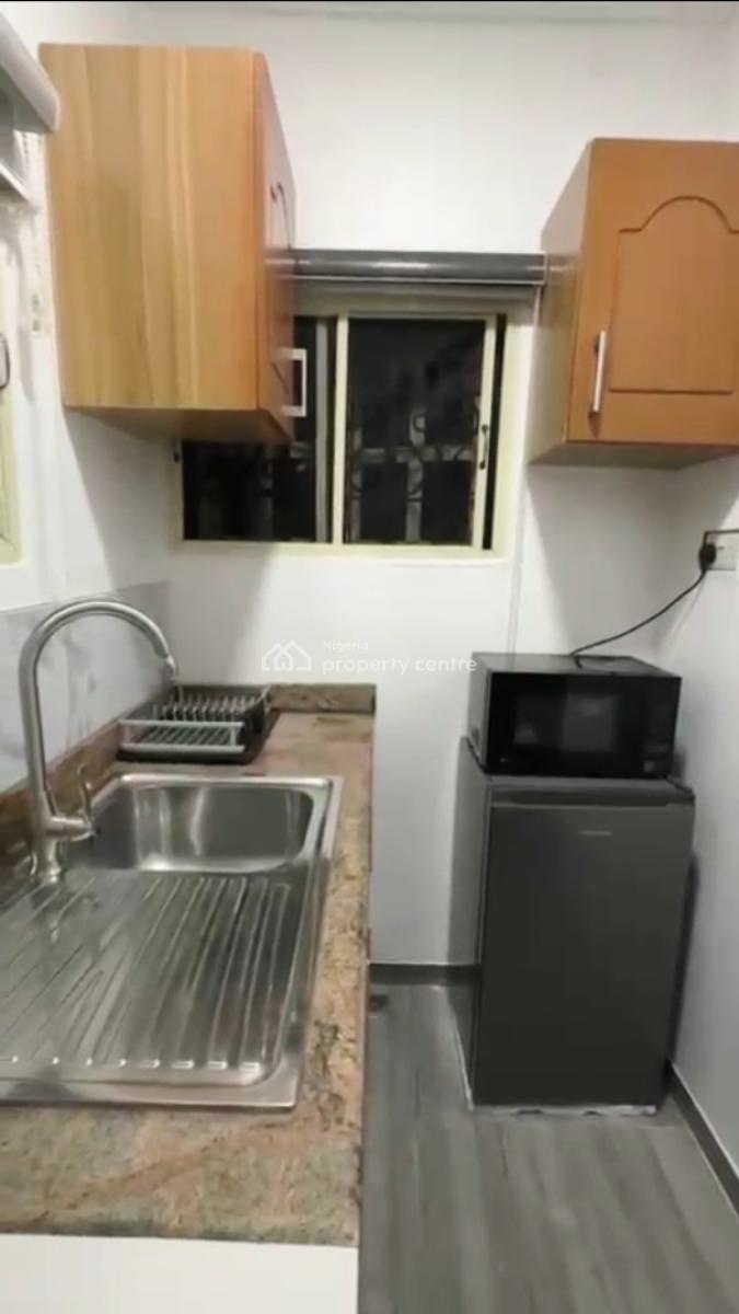 Furnished Luxury Standard Ensuit 1 Bedroom Spacious Apartment with Inverter, Off Freedom Way, Lekki Phase 1, Lekki, Lagos, Mini Flat (room and Parlour) for Rent