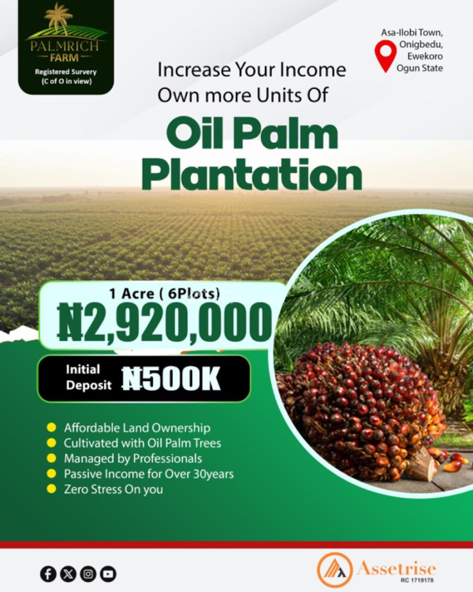 The Oil Boom Is Here, Palmrich Farm, Km 46, Ogun, Industrial Land for Sale
