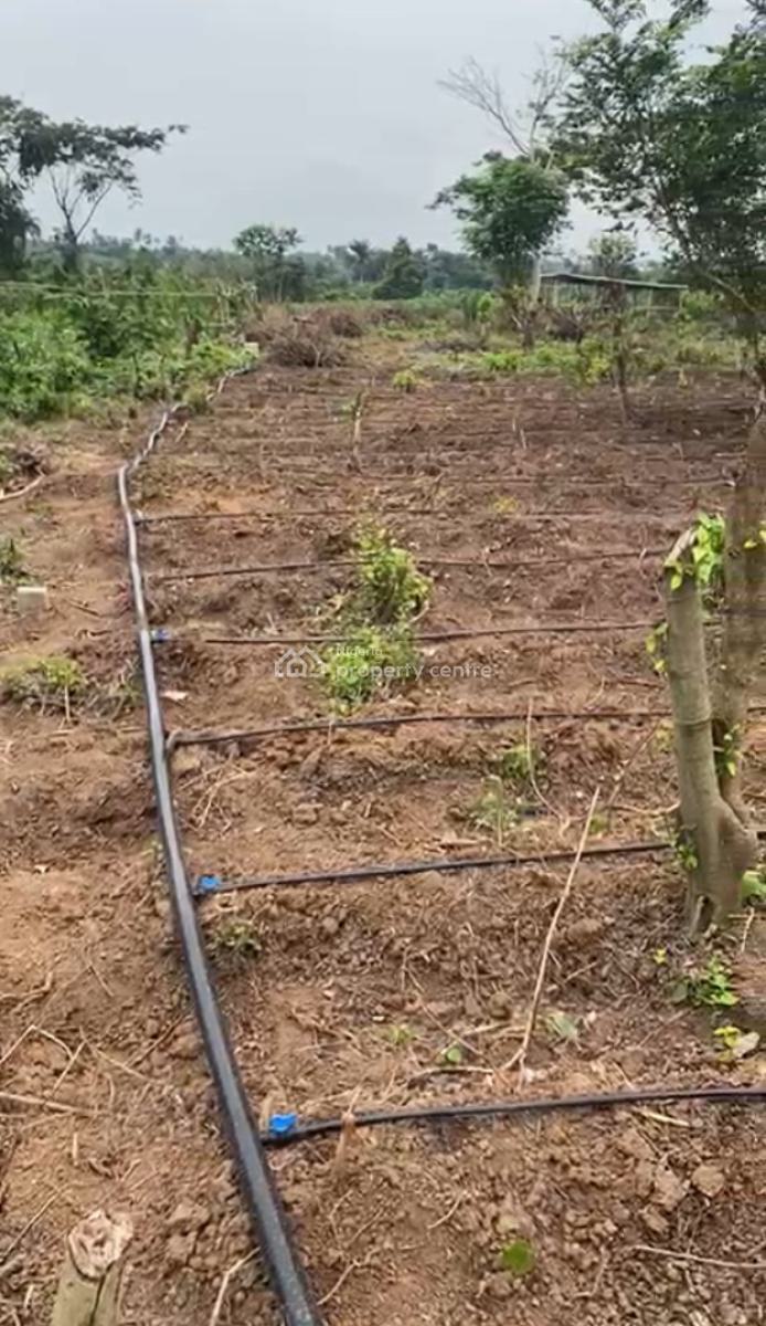 Most Affordable and Profitable Farm Land with Good Title, Close to Funaab in Alabata, Odeda, Ogun, Mixed-use Land for Sale