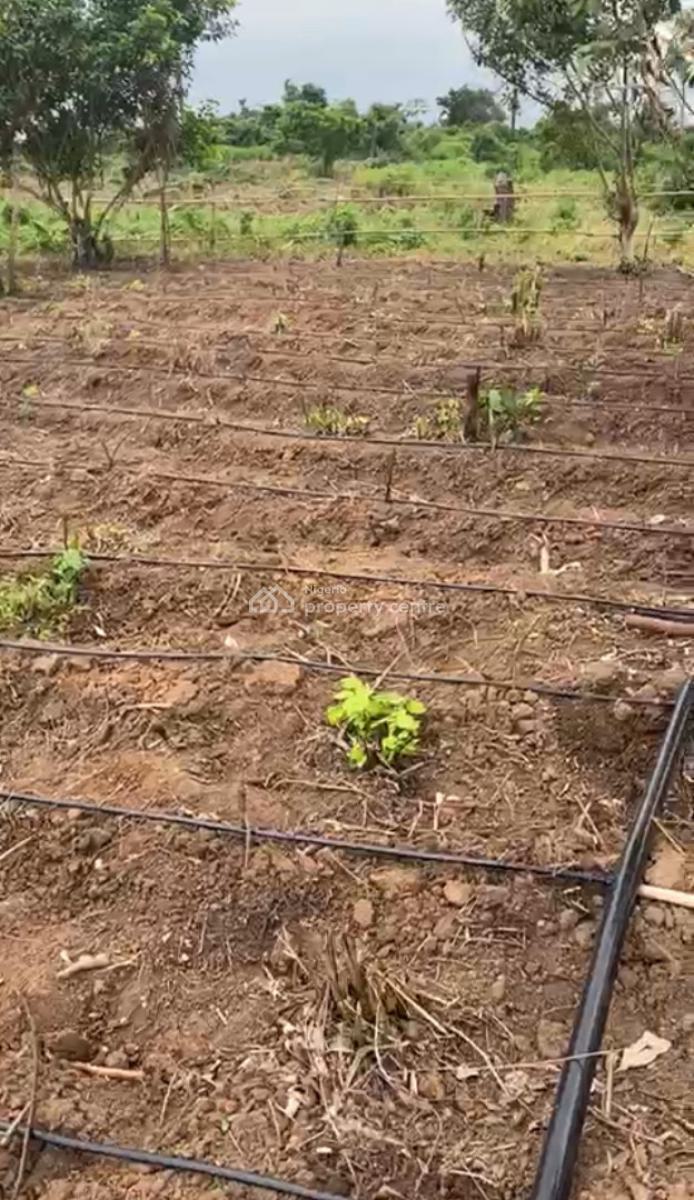 Most Affordable and Profitable Farm Land with Good Title, Close to Funaab in Alabata, Odeda, Ogun, Mixed-use Land for Sale