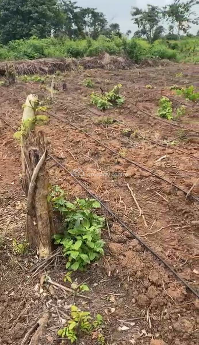 Most Affordable and Profitable Farm Land with Good Title, Close to Funaab in Alabata, Odeda, Ogun, Mixed-use Land for Sale