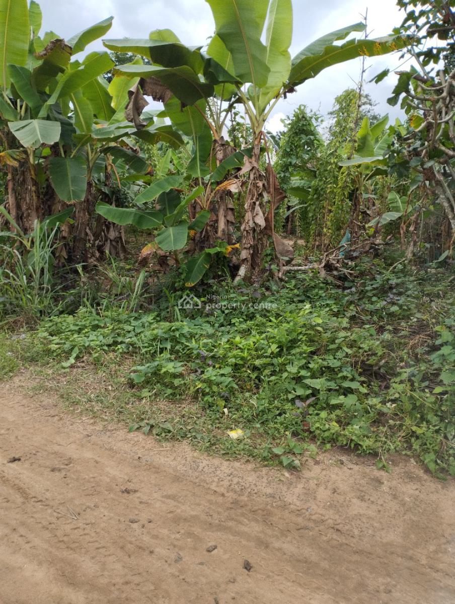 Strategically Located Plots of Land, Off Aka Road, Off Aniekan Uko, Mbikpong Estate Extension, Uyo, Akwa Ibom, Residential Land for Sale