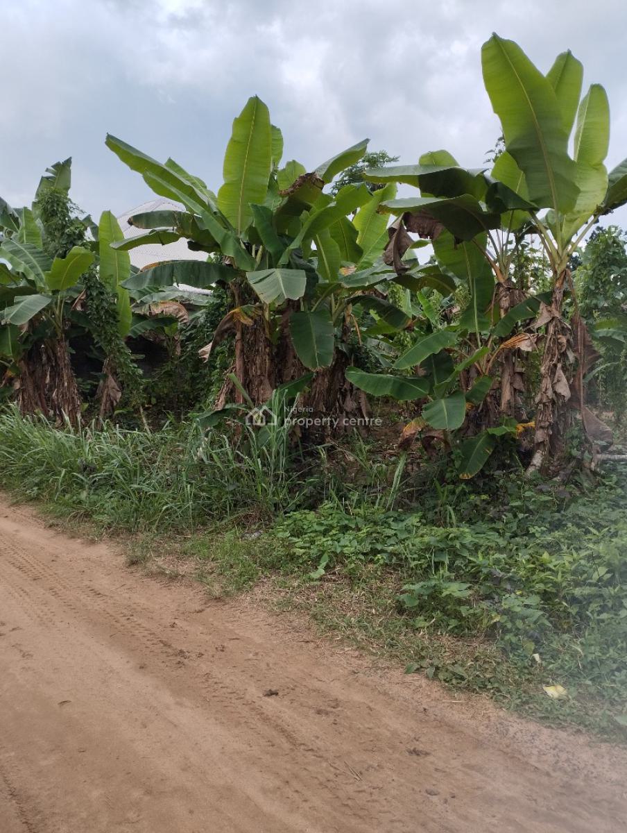Strategically Located Plots of Land, Off Aka Road, Off Aniekan Uko, Mbikpong Estate Extension, Uyo, Akwa Ibom, Residential Land for Sale