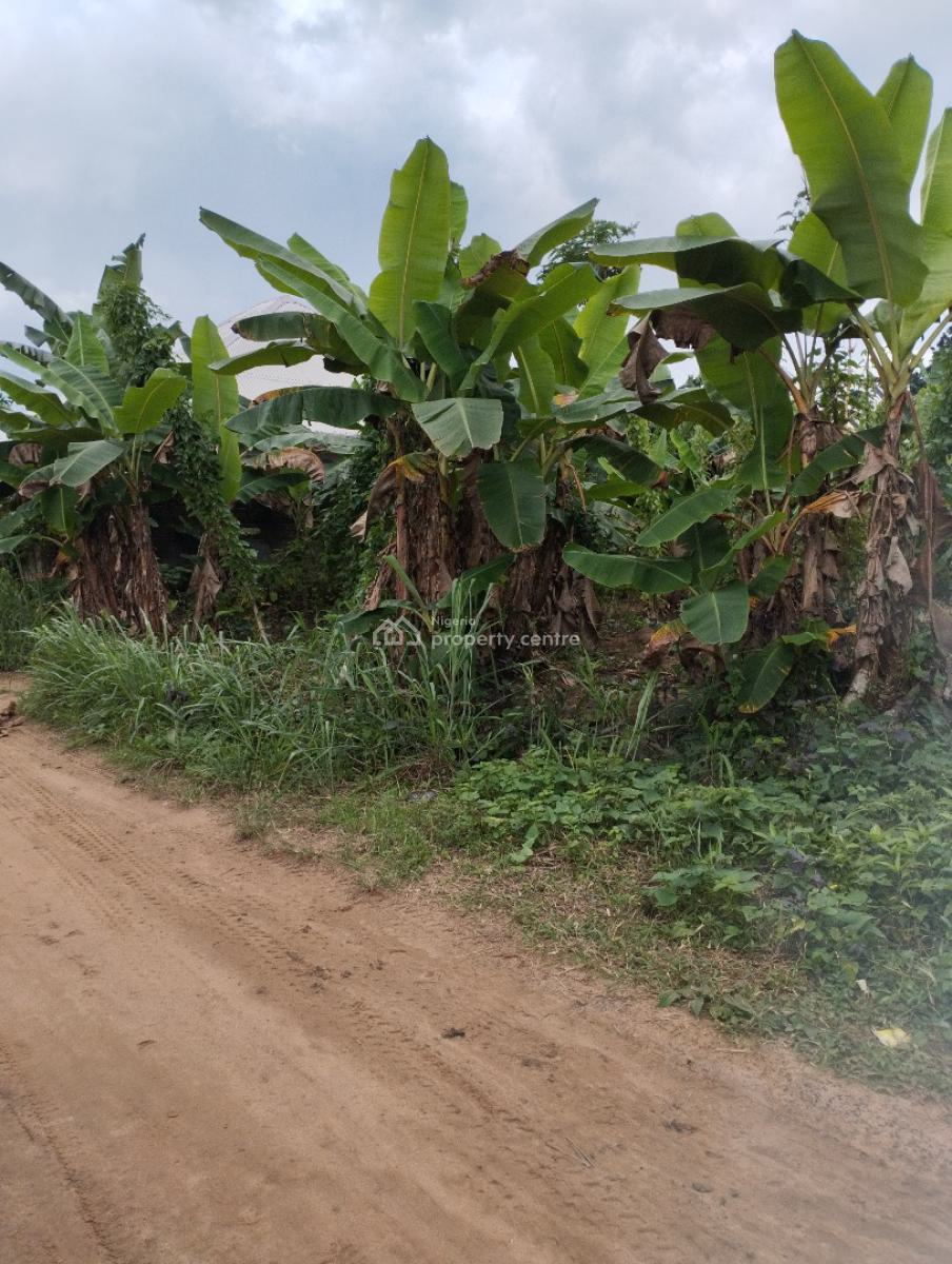 Strategically Located Plots of Land, Off Aka Road, Off Aniekan Uko, Mbikpong Estate Extension, Uyo, Akwa Ibom, Residential Land for Sale