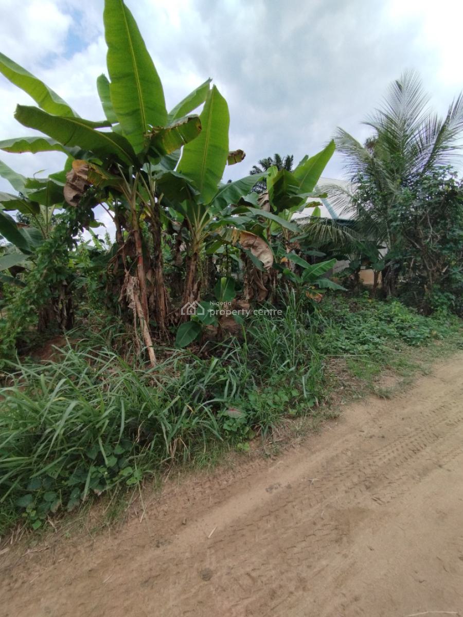 Strategically Located Plots of Land, Off Aka Road, Off Aniekan Uko, Mbikpong Estate Extension, Uyo, Akwa Ibom, Residential Land for Sale