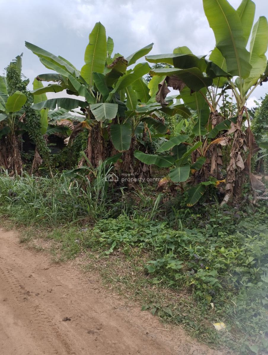 Strategically Located Plots of Land, Off Aka Road, Off Aniekan Uko, Mbikpong Estate Extension, Uyo, Akwa Ibom, Residential Land for Sale