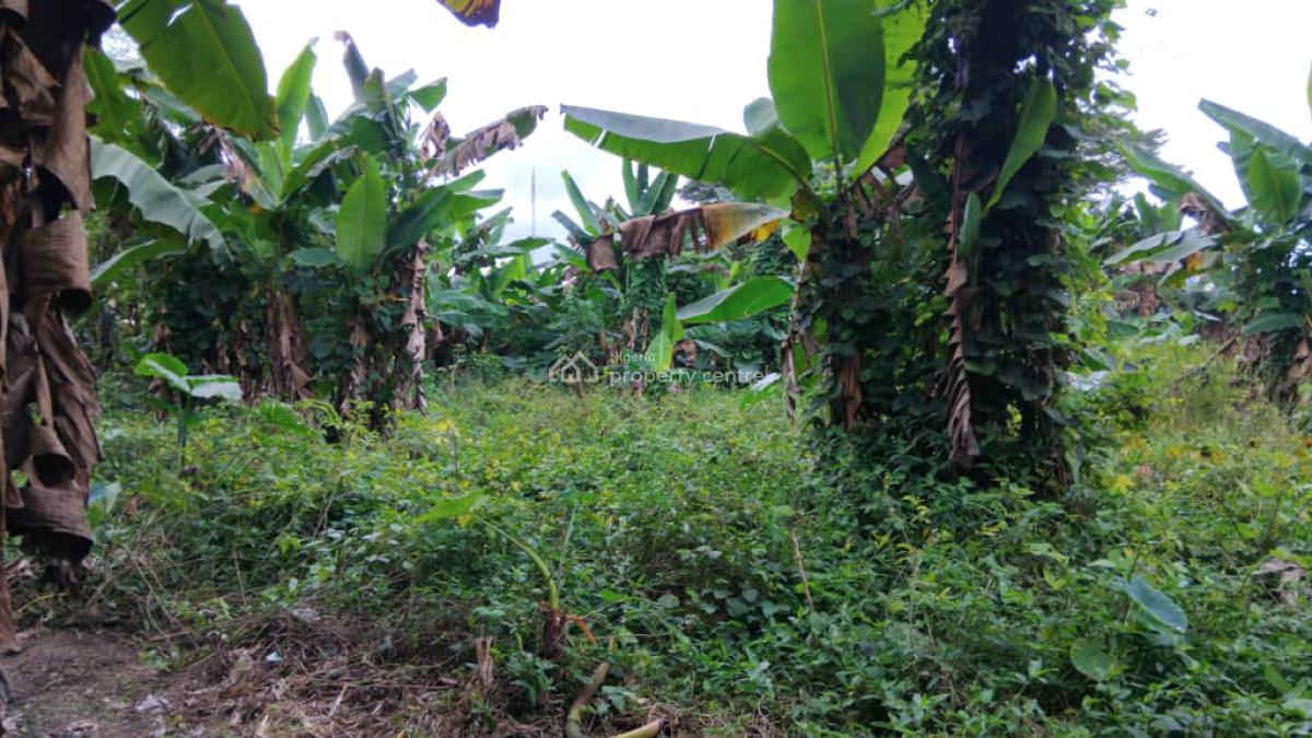 Strategically Located Plots of Dry Land with a 5bedroom Duplex, Federal Housing Estate By Ikot Ansa High Way, Calabar, Cross River, Mixed-use Land for Sale
