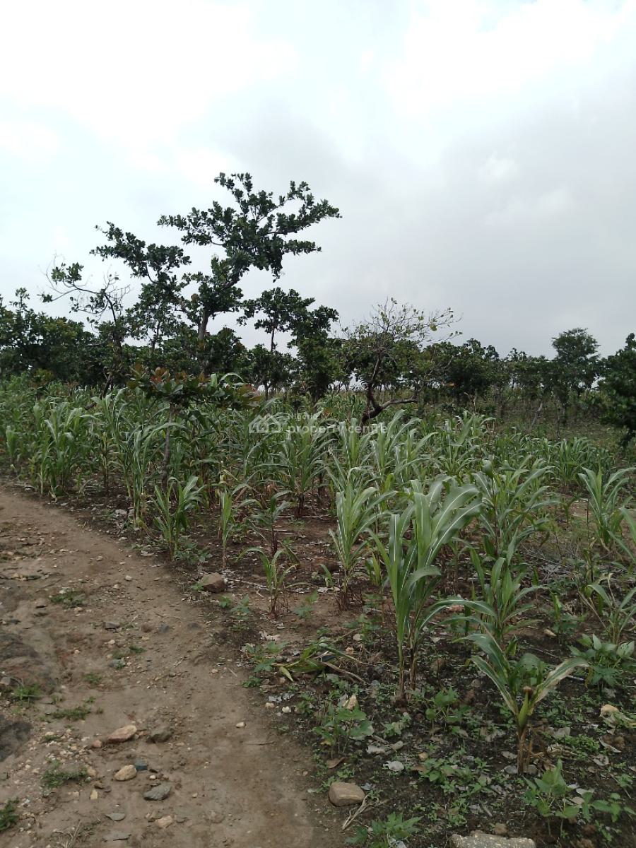 1763 Square Meters with Secure Title, After Gilmor Yard, Guzape District, Abuja, Residential Land for Sale