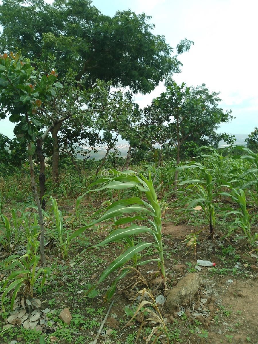 1763 Square Meters with Secure Title, After Gilmor Yard, Guzape District, Abuja, Residential Land for Sale