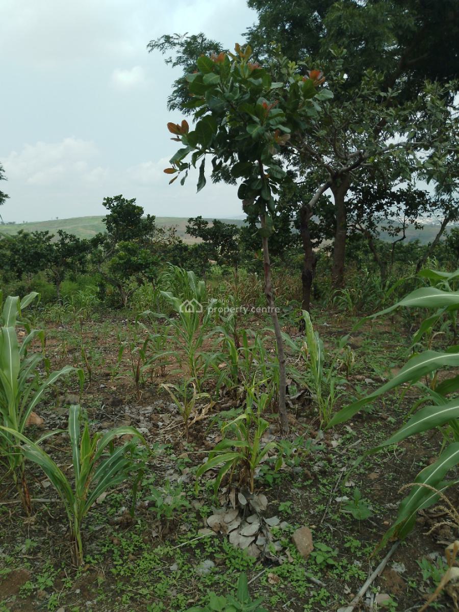 1763 Square Meters with Secure Title, After Gilmor Yard, Guzape District, Abuja, Residential Land for Sale
