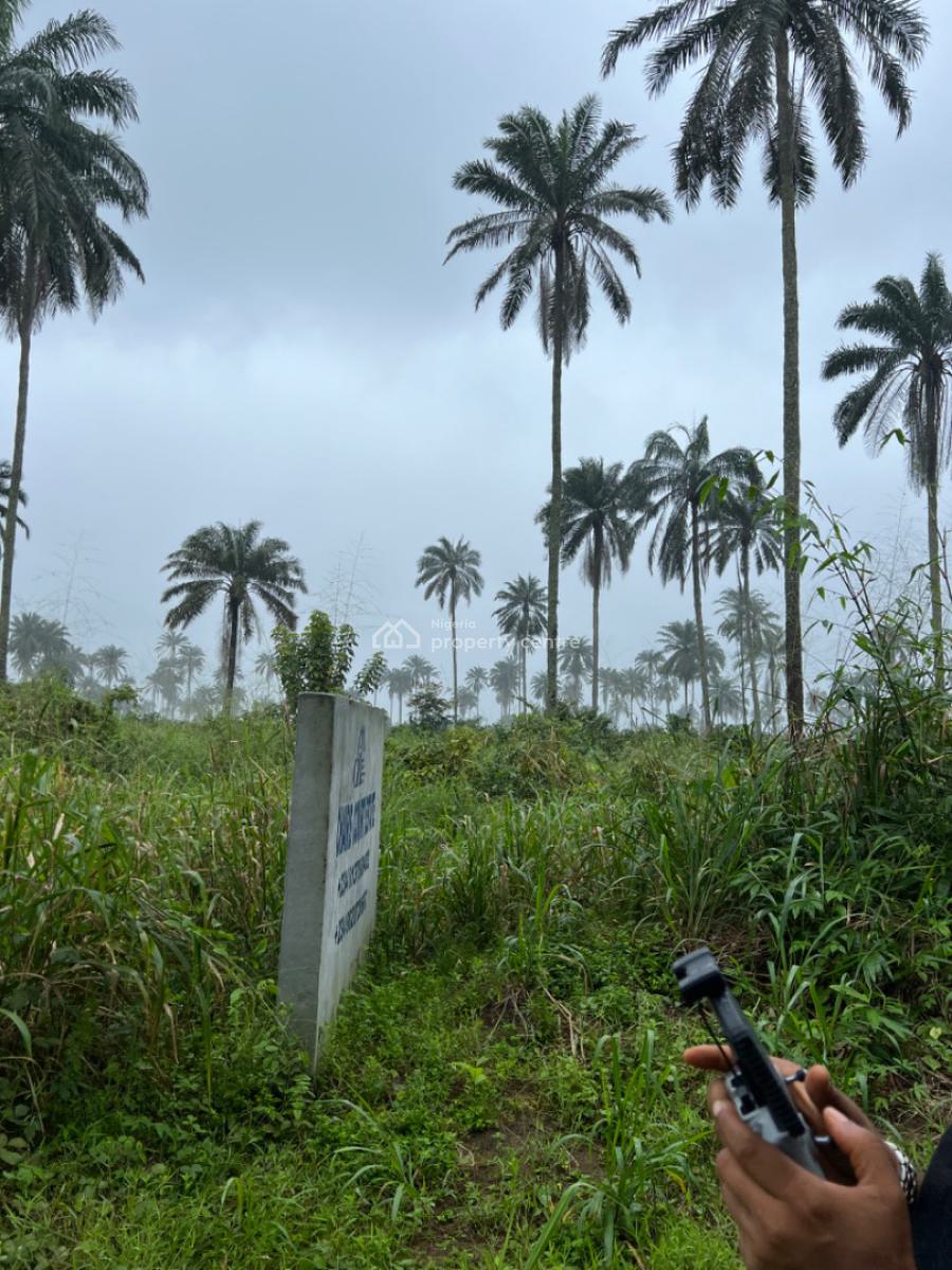 Dry Affordable Land, Airport Road, Uyo, Akwa Ibom, Residential Land for Sale