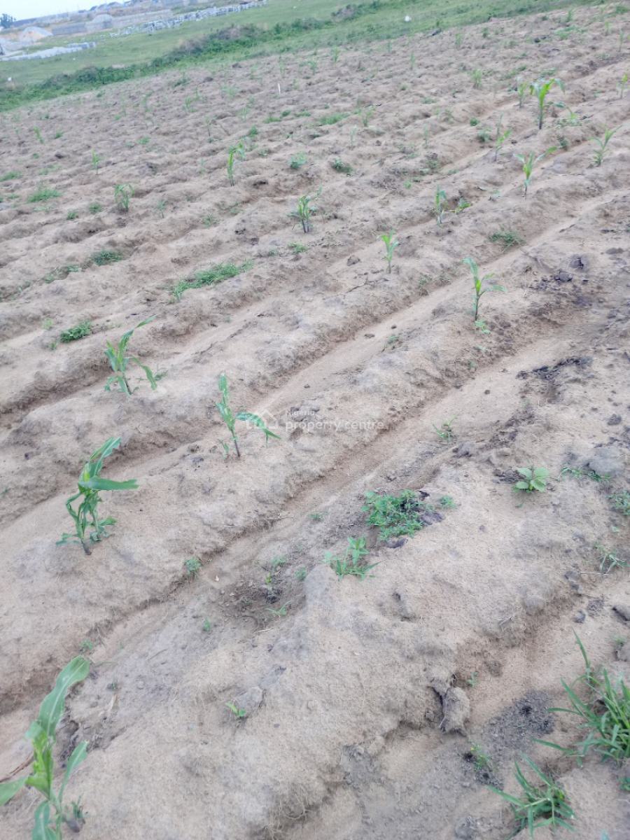 350sqm Land, Apo Tyafi, Apo, Abuja, Residential Land for Sale