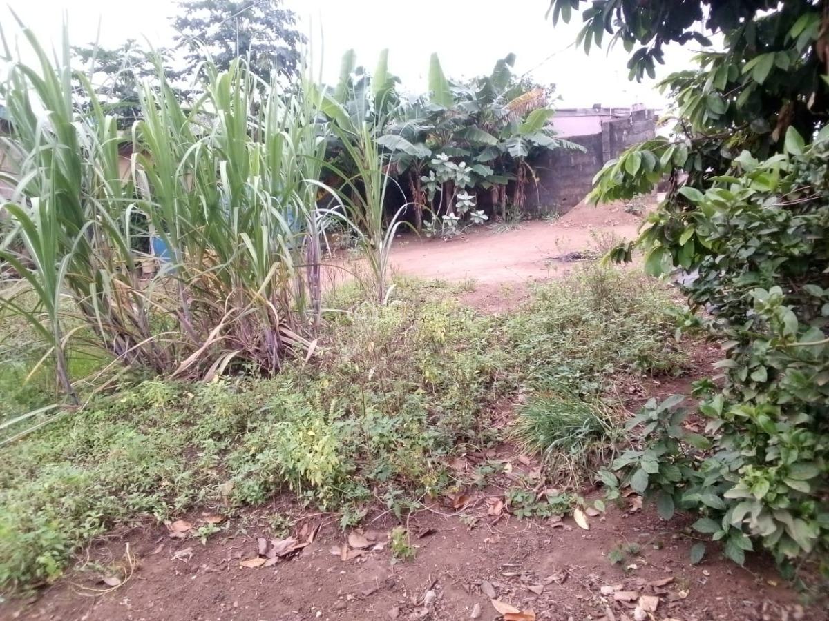 Direct Owner: Secure 250sqm Dry Land -- Perfect for Mix-use, S.a Olowu Street, Isheri Olofin, Alimosho, Lagos, Mixed-use Land for Sale
