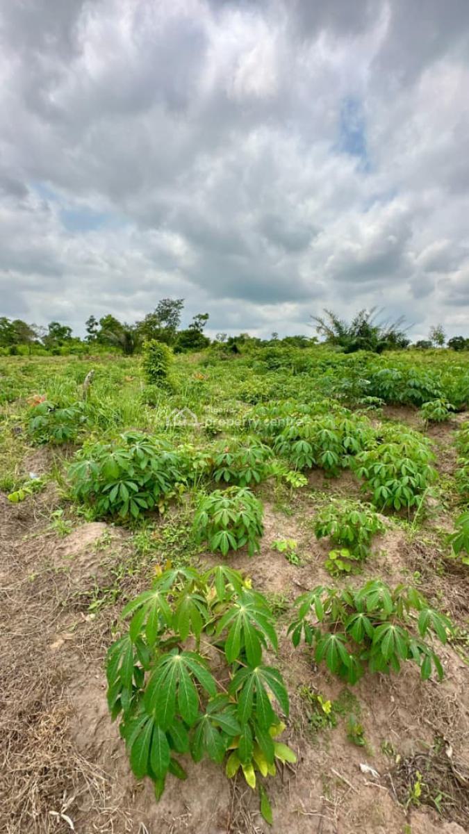 Now, You Too Can Make a Lot of Money From Agriculture, Own Fertile Farm Land Buy 5plots, Get One Plot Free ,, Abeokuta North, Ogun, Mixed-use Land for Sale