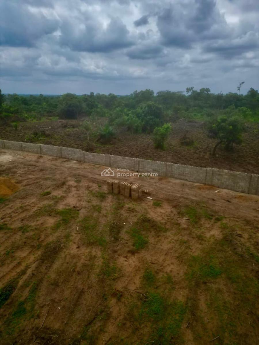 Own an Affordable Fertile Farmland Without Breaking The Bank, Earn Massively From Agriculture , Close to Funaab , Alabata, Abeokuta South, Ogun, Mixed-use Land for Sale