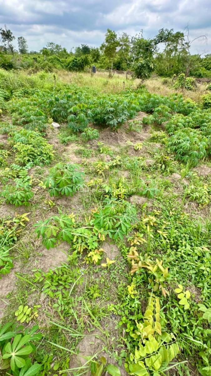 Own an Affordable Fertile Farmland Without Breaking The Bank, Earn Massively From Agriculture , Close to Funaab , Alabata, Abeokuta South, Ogun, Mixed-use Land for Sale