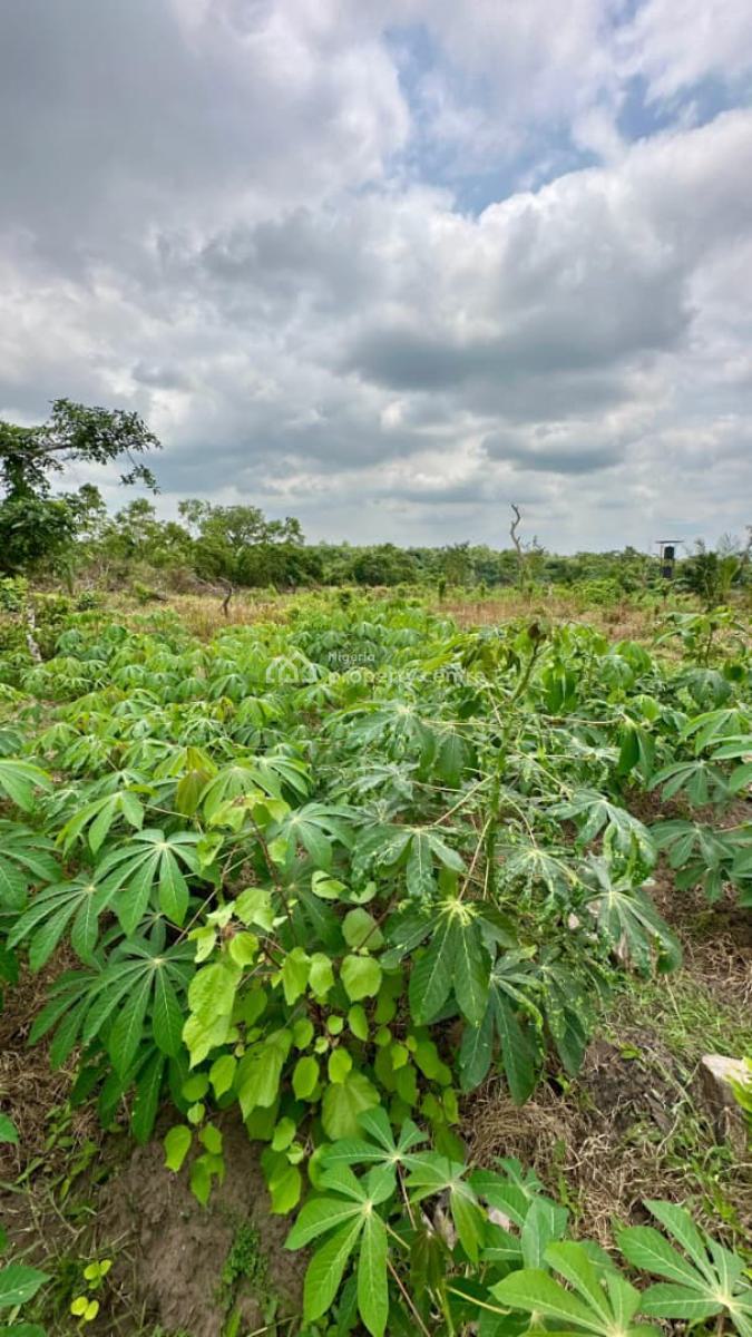 Own an Affordable Fertile Farmland Without Breaking The Bank, Earn Massively From Agriculture , Close to Funaab , Alabata, Abeokuta South, Ogun, Mixed-use Land for Sale