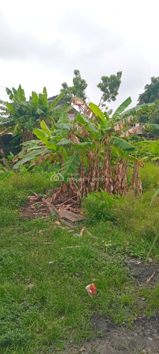 Now Available, Off Mobil Road, Ilaje, Ajah, Lagos, Mixed-use Land for Sale