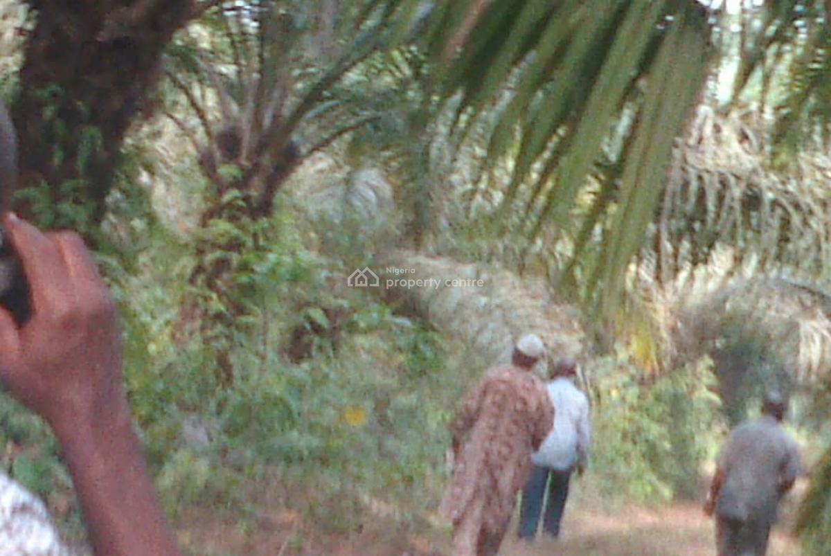 Fully Functional Vegetable Oil Factory, Atan Ota, Ado-odo/ota, Ogun, Factory for Sale