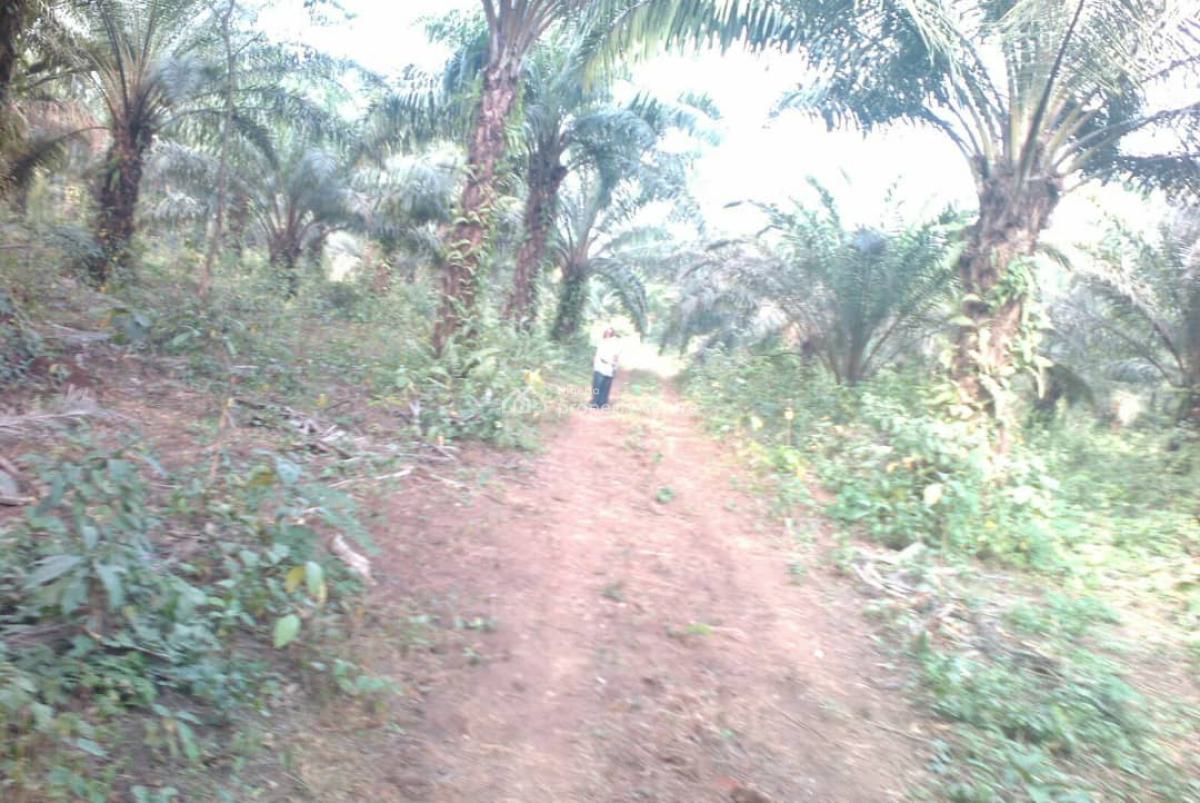Fully Functional Vegetable Oil Factory, Atan Ota, Ado-odo/ota, Ogun, Factory for Sale