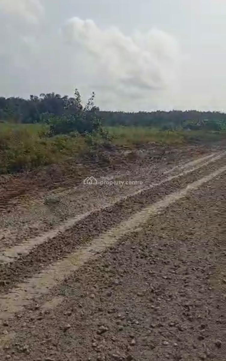 100hectars, Sangotedo Monastery, Ajah, Lagos, Land for Sale