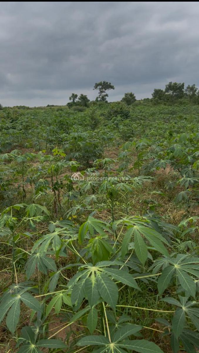 Acres of Farm. Land Investment and Earn Income, Lafenwa, Abeokuta North, Ogun, Industrial Land for Sale