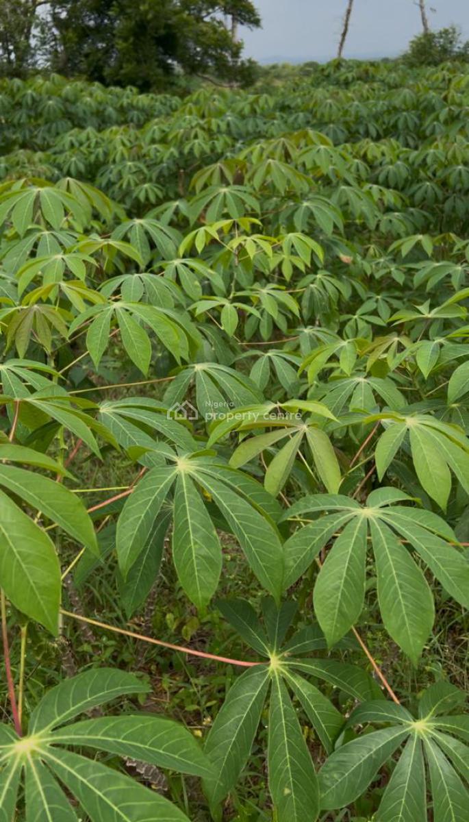 Acres of Farm. Land Investment and Earn Income, Lafenwa, Abeokuta North, Ogun, Industrial Land for Sale