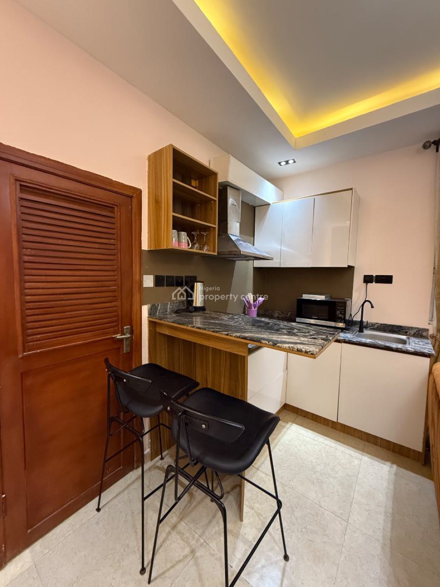 Luxury New One Bedroom with Excellent Features, Lekki Phase 1, Lekki, Lagos, Flat / Apartment Short Let