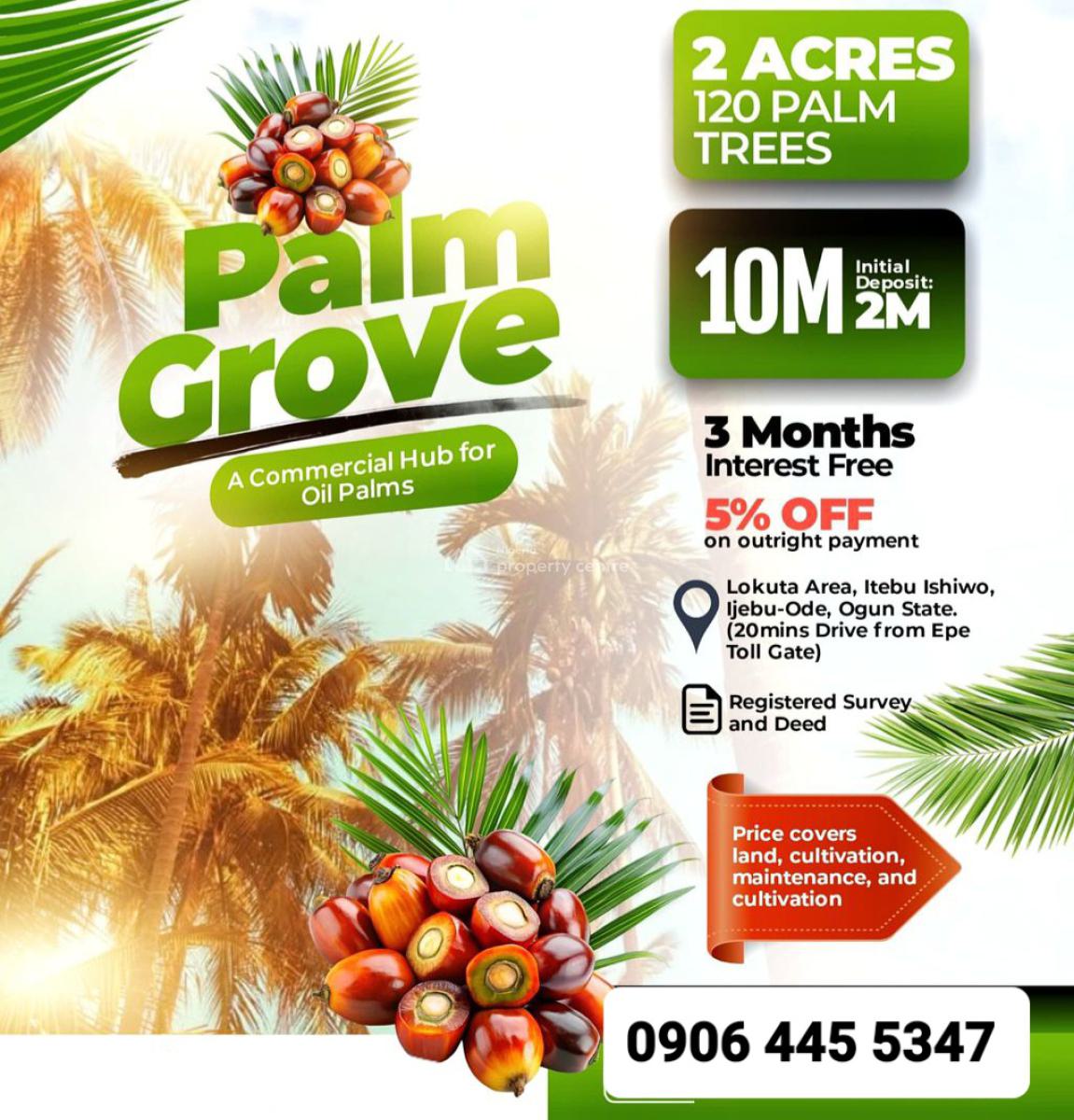 Palm Oil Tree Farmlands in Lokuta Area, Itebu Ishiwo, Ijebu-ode, Ogun, Lokuta Area, Itebu Ishiwo, Ijebu Ode, Ogun, Commercial Land for Sale