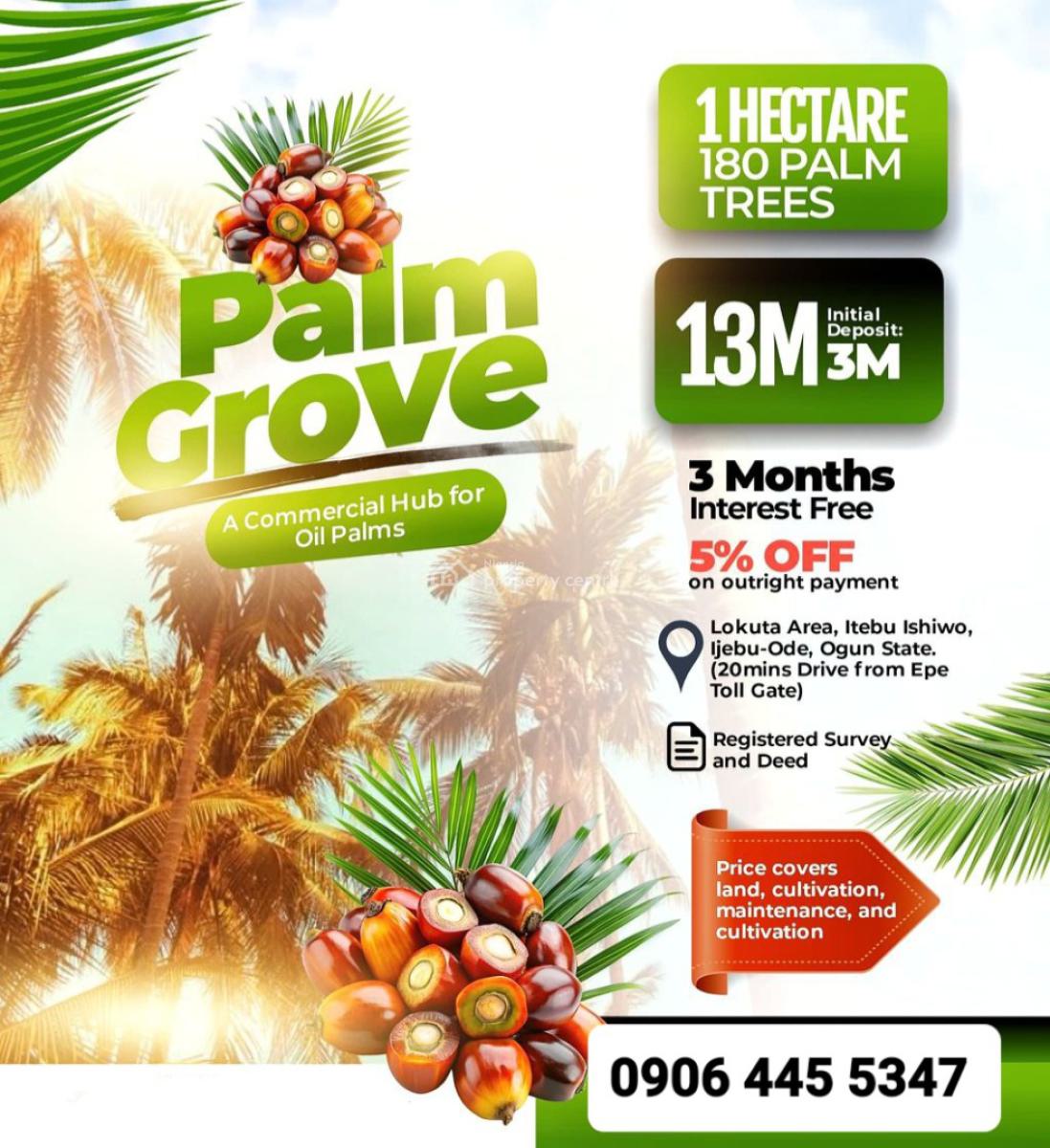 Palm Oil Tree Farmlands in Lokuta Area, Itebu Ishiwo, Ijebu-ode, Ogun, Lokuta Area, Itebu Ishiwo, Ijebu Ode, Ogun, Commercial Land for Sale