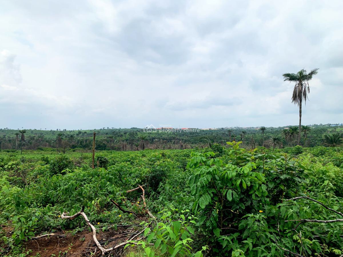Verified and Affordable Land in a Prime Location, Berger, Arepo, Ogun, Mixed-use Land for Sale