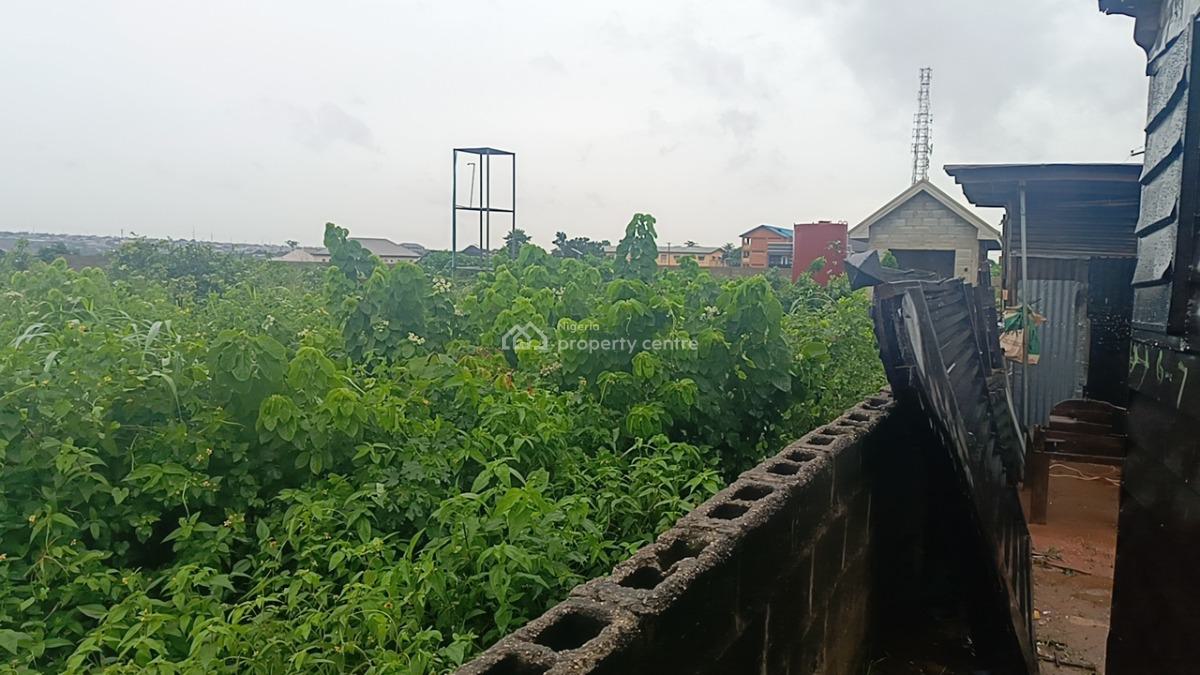 Two Plots of Virgin Dry Land Facing Ishefun Express Tared Road,ayobo, Captain Davies Road,ishefun, Ayobo, Lagos, Mixed-use Land for Sale