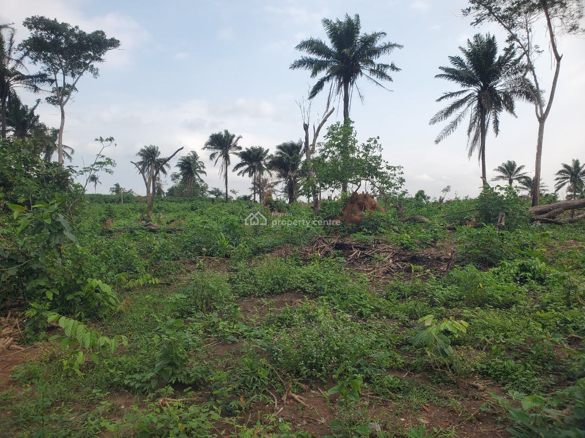Available Dry Plots of Land, Clements Courts, Imota, Ikorodu, Lagos, Mixed-use Land for Sale