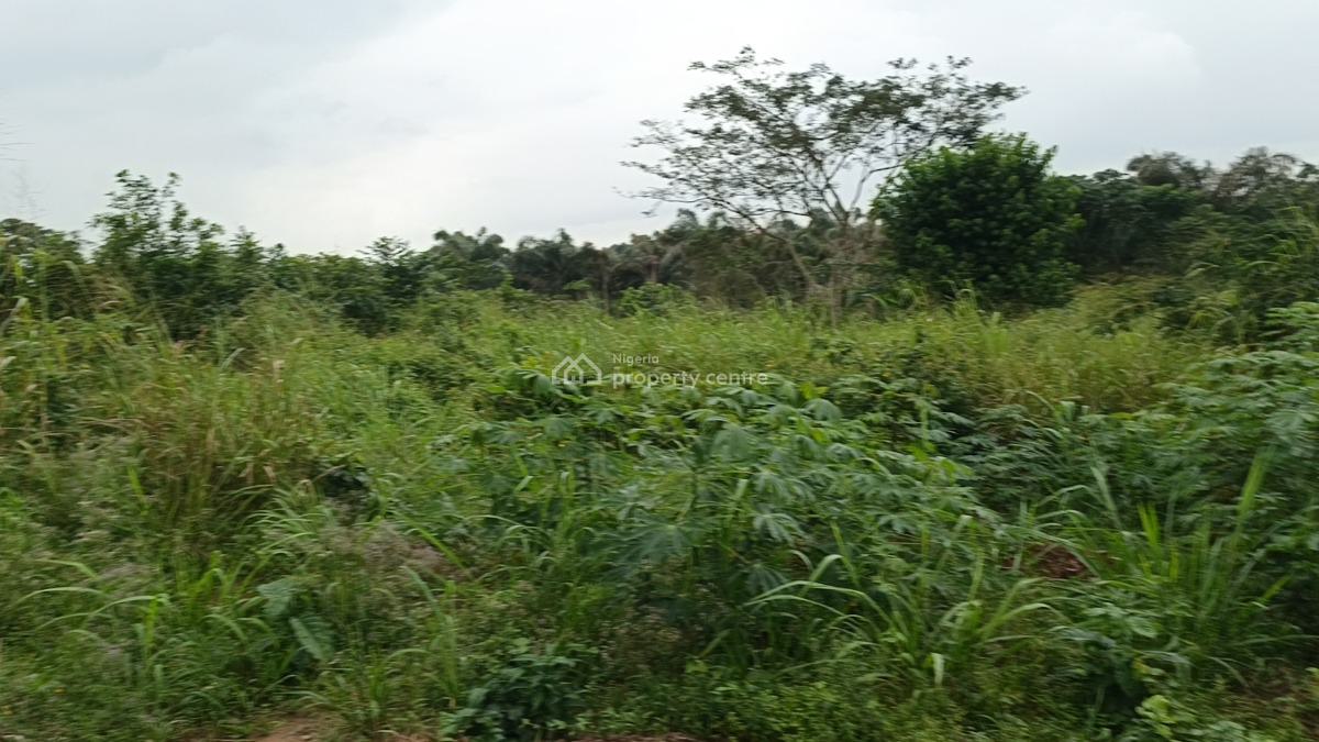 Full Plot of Dry Level Up Land in a Fast Developing Community, Ito Inside, Isiu, Ikorodu, Lagos, Residential Land for Sale