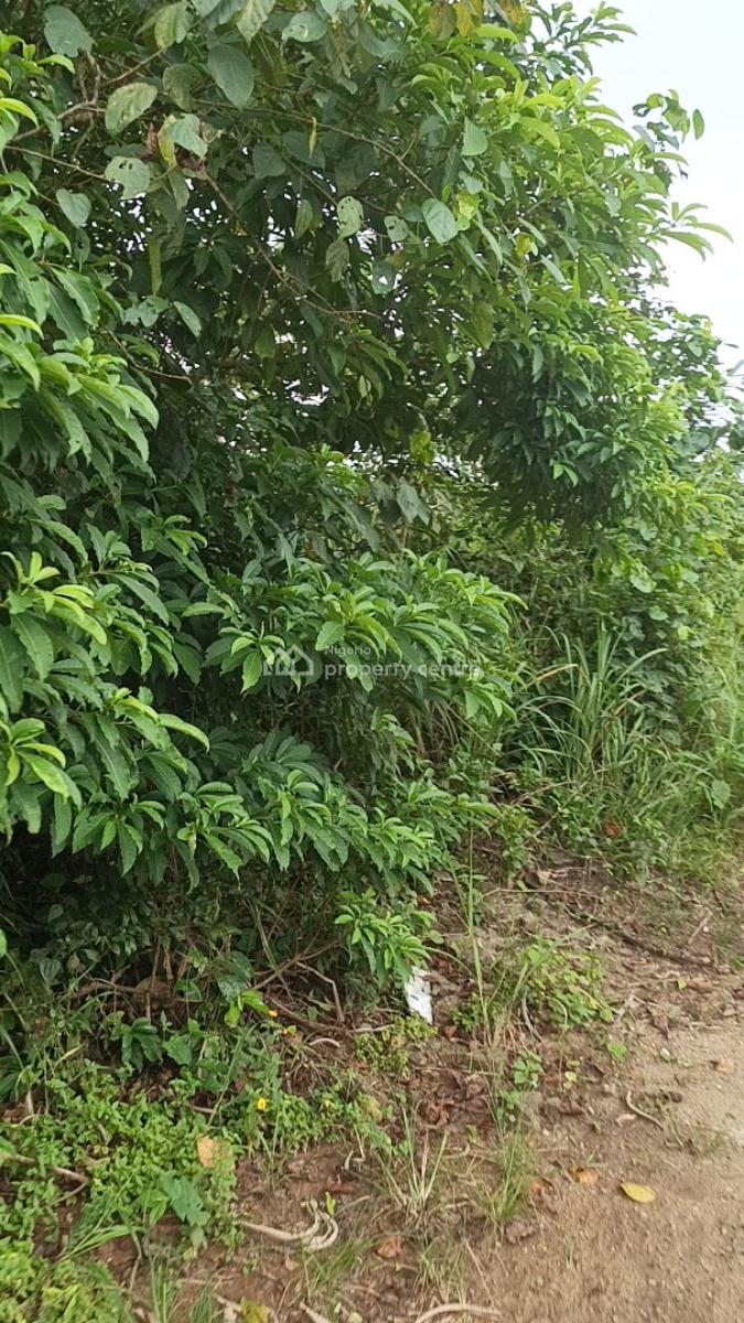 Full Plot of Dry Level Up Land in a Fast Developing Community, Ito Inside, Isiu, Ikorodu, Lagos, Residential Land for Sale