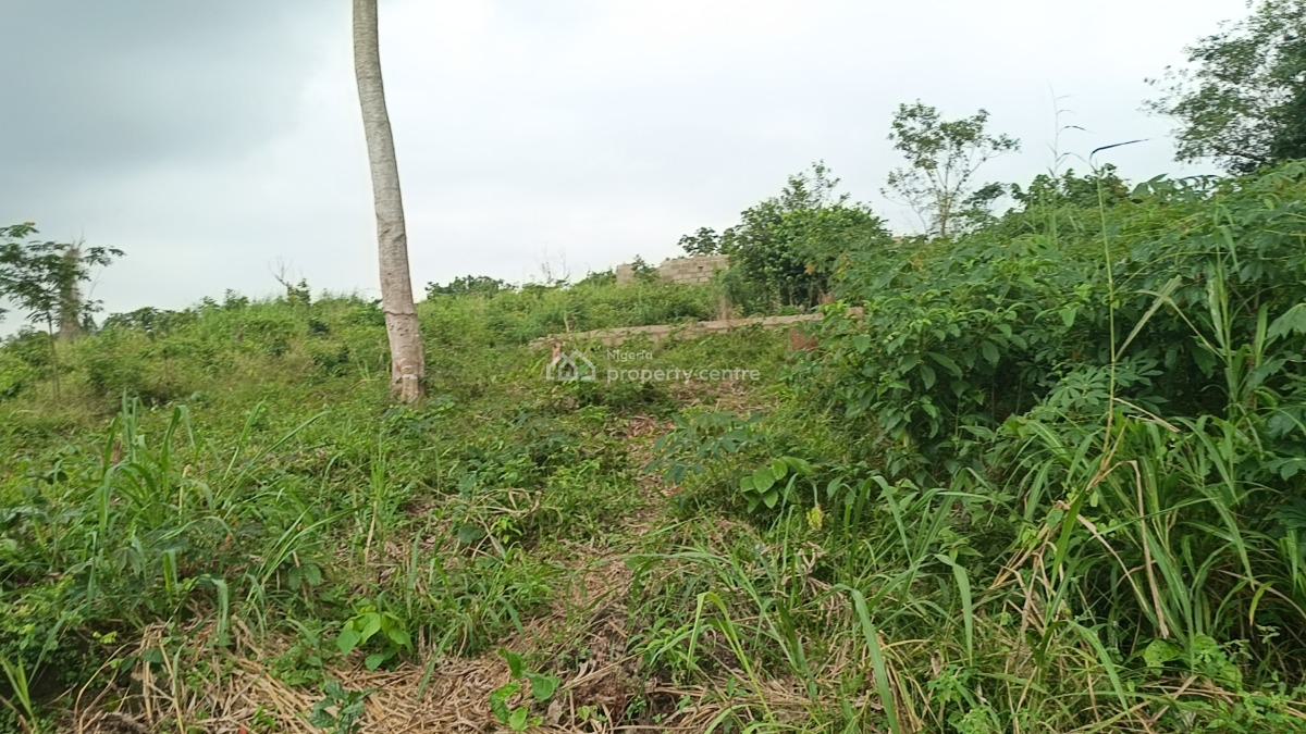 Full Plot of Dry Level Up Land in a Fast Developing Community, Ito Inside, Isiu, Ikorodu, Lagos, Residential Land for Sale