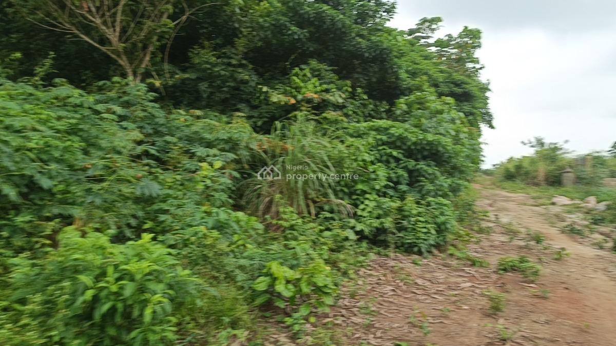 Full Plot of Dry Level Up Land in a Fast Developing Community, Ito Inside, Isiu, Ikorodu, Lagos, Residential Land for Sale