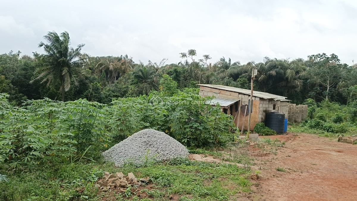 Full Plot of Dry Level Up Land in a Fast Developing Community, Ito Inside, Isiu, Ikorodu, Lagos, Residential Land for Sale