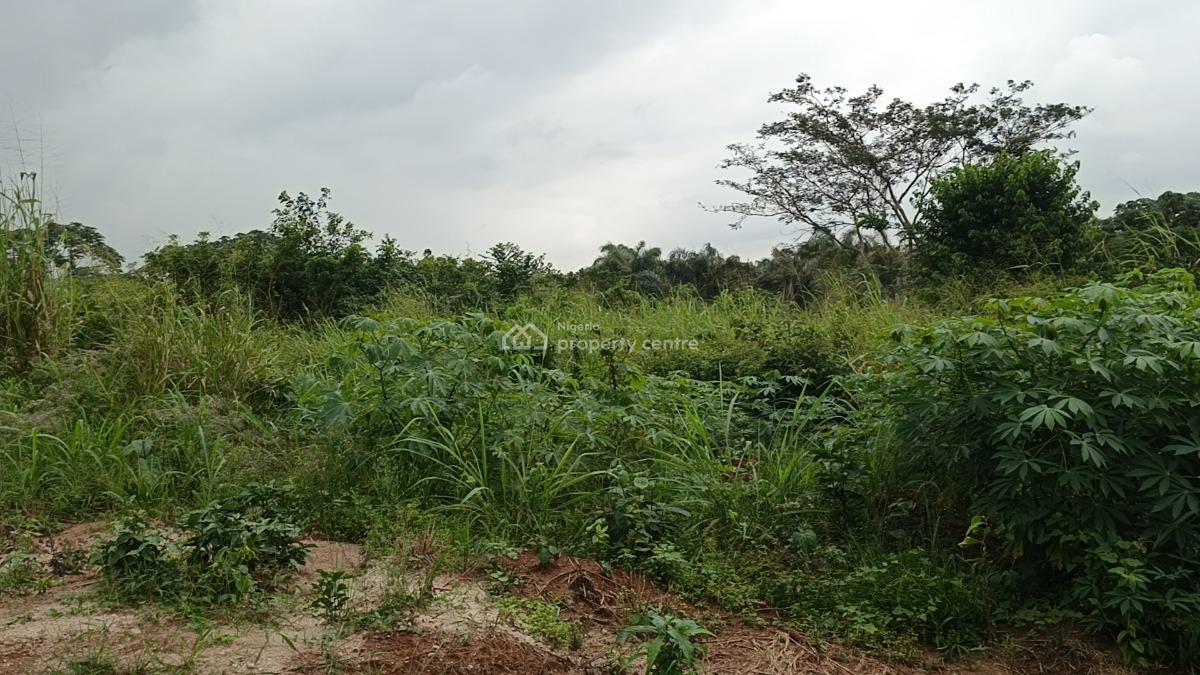Full Plot of Dry Level Up Land in a Fast Developing Community, Ito Inside, Isiu, Ikorodu, Lagos, Residential Land for Sale